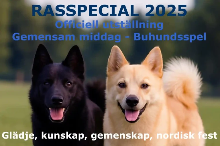 Rasspecialen 2025