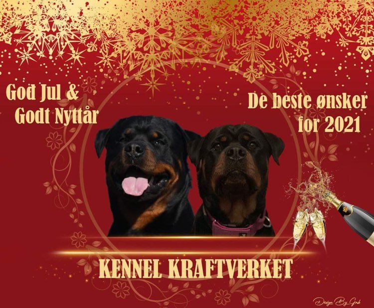 Nytt – Kennel Kraftverket