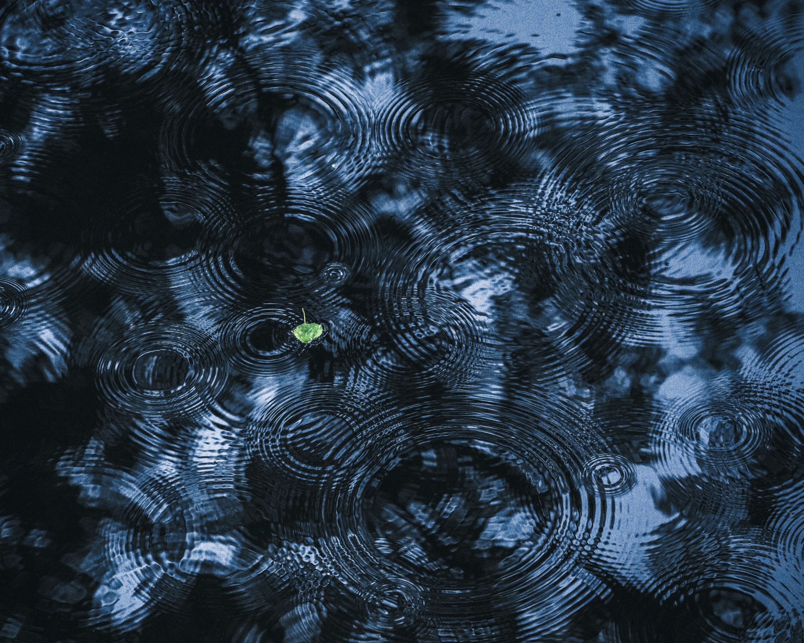 artem-sapegin-OW7qNfU61fY-unsplash (1)