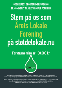 Read more about the article Årets Lokale Forening