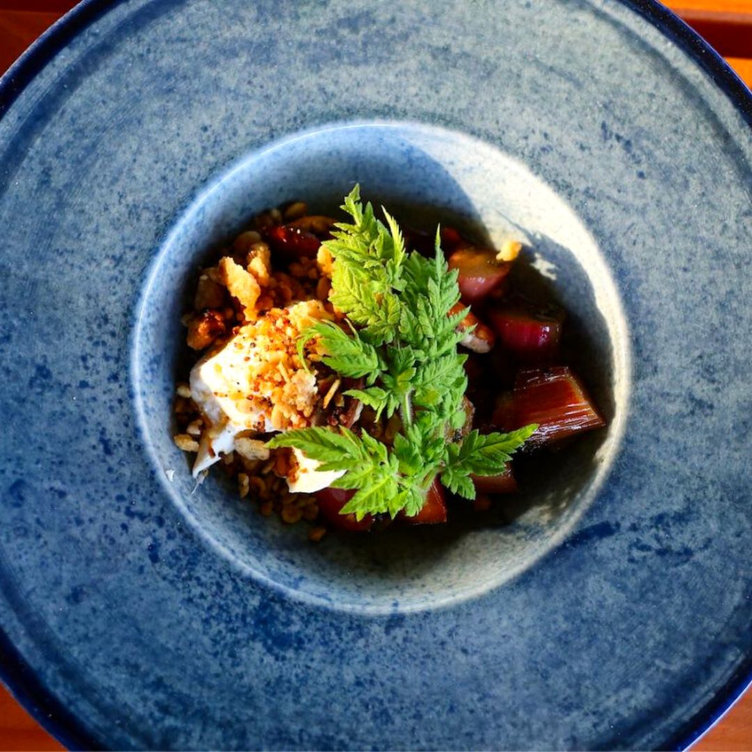 dessert tallerken restaurant sank vilde urter spansk kørvel sødskærm