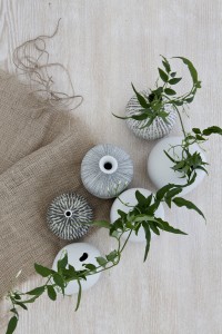 organsik, blomster, botansik