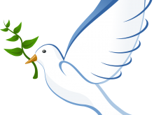 Dove Peace Flying Freedom