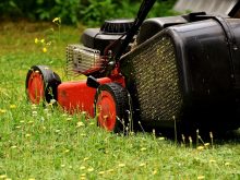 Lawn Mower Mow Lawn Mowing Green  - Alexas_Fotos / Pixabay