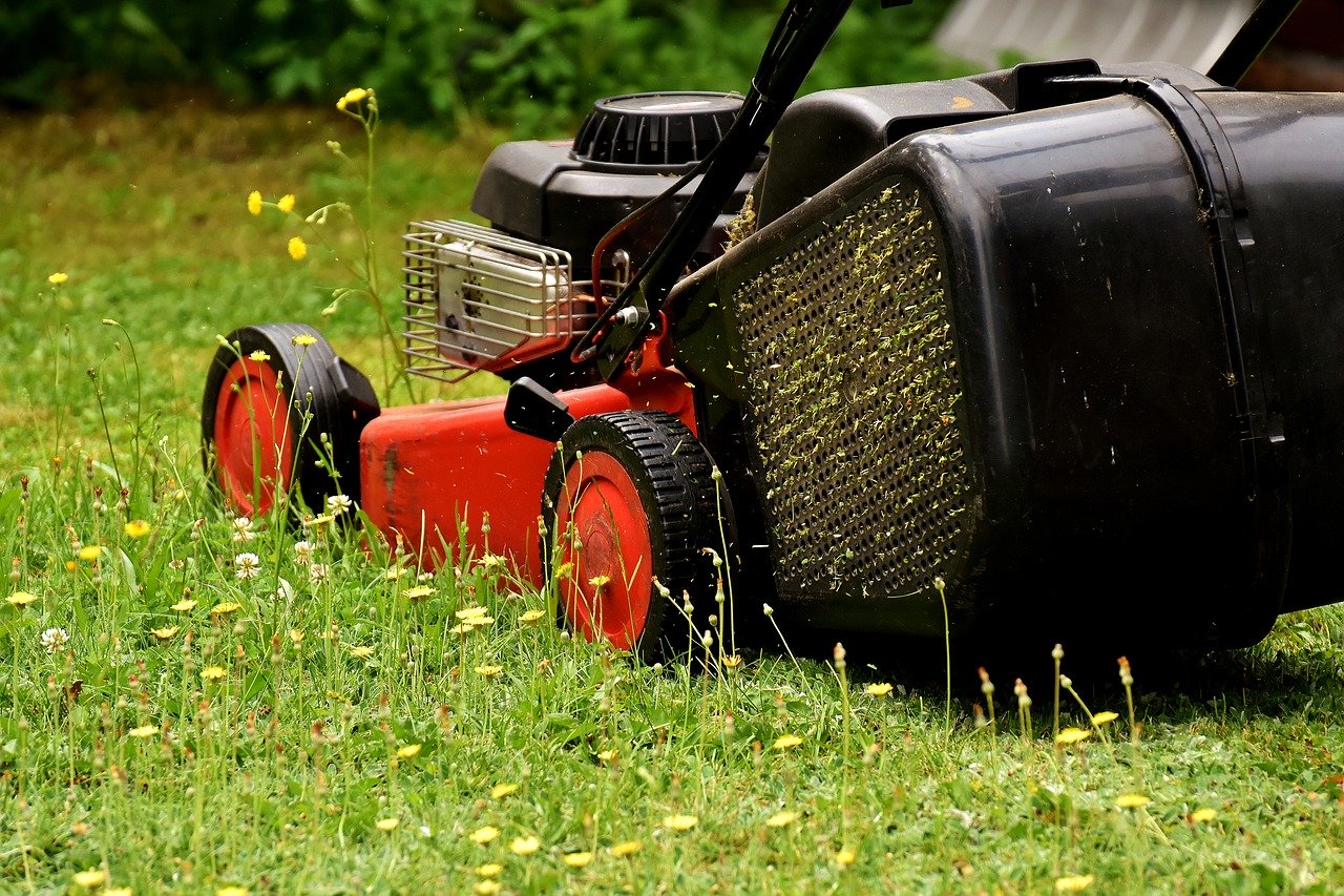 Lawn Mower Mow Lawn Mowing Green  - Alexas_Fotos / Pixabay