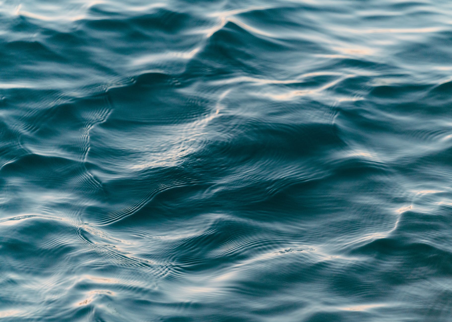 close up photo of body of water