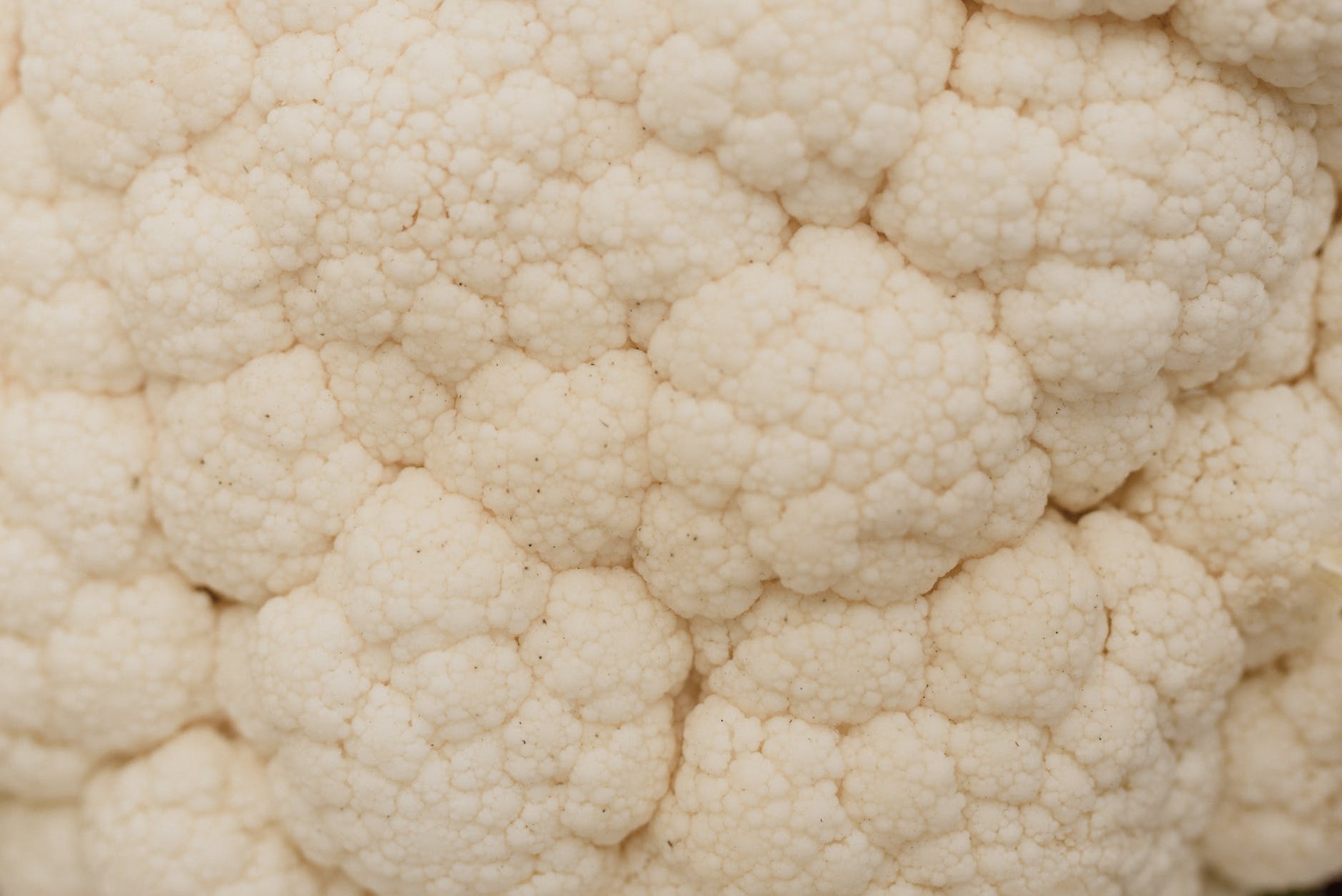 macro shot photography of cauliflower