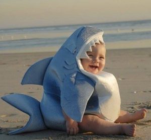 Er du en haj til baby? 
