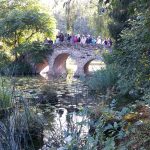 OGIV_Taubertal_2018 (4)