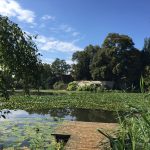 OGIV_Taubertal_2018 (5)