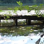 OGIV_Taubertal_2018 (7)