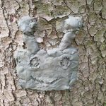 Diebelfroesche_Baumgesichter_15_05_2021 (39)