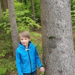 Diebelfroesche_Baumgesichter_15_05_2021 (54)