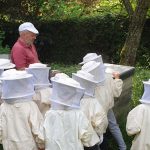 Diebelfroesche_Besuch_Imker_19_06_2021 (1)