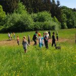 Diebelfroesche_OGIV_Tomatenpflanzen_14_05_2022 (10)