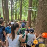 Diebelfroesche_Kneippbecken_18_06_2023 (53)