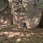 Diebelfroesche_Kneippbecken_18_06_2023 (57)