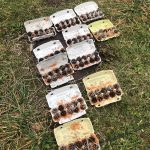 Diebelfroesche_Basteln_Nikolausverkauf_18_11_2023 (29)