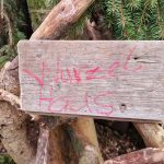 Diebelfroesche_Lager_bauen_24_02_2024 (19)