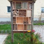 Diebelbiber_OGIV_Insektenhotel_24.07 (5)