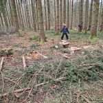 Diebelfroesche_Parcourbau_25_01_2025 (26)