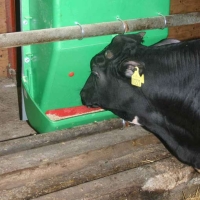 Feeder 491