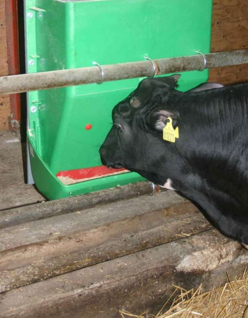 Feeder 491