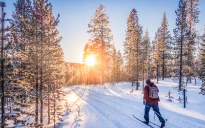 Løypenett i fjellet og skisporet med Lenningen Løypelag