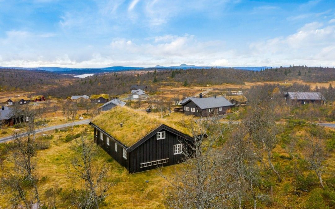 Wie man als Ausländer ein Hüttengrundstück in Norwegen kauft