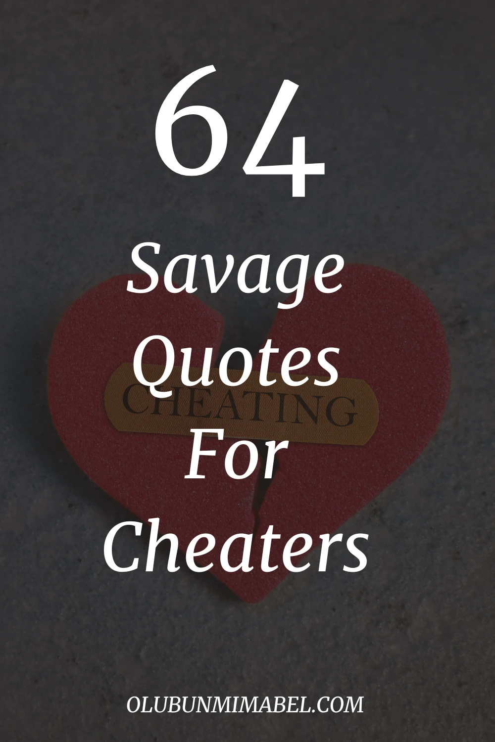 Savage Quotes For Cheaters