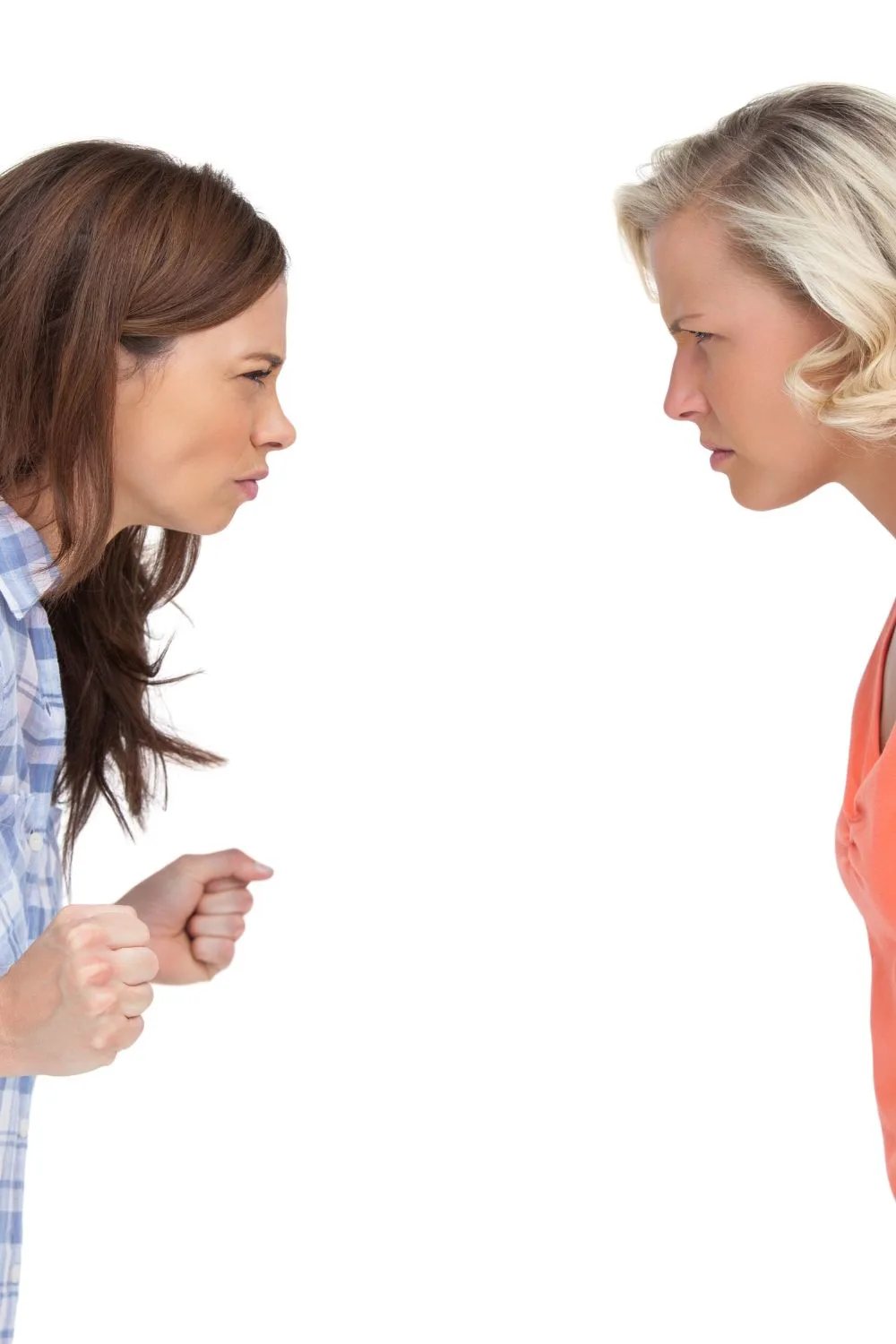 Mean Things To Say To The Other Woman