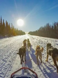 Solo Parenting in the Last Frontier: Thrilling Adventures in Alaska