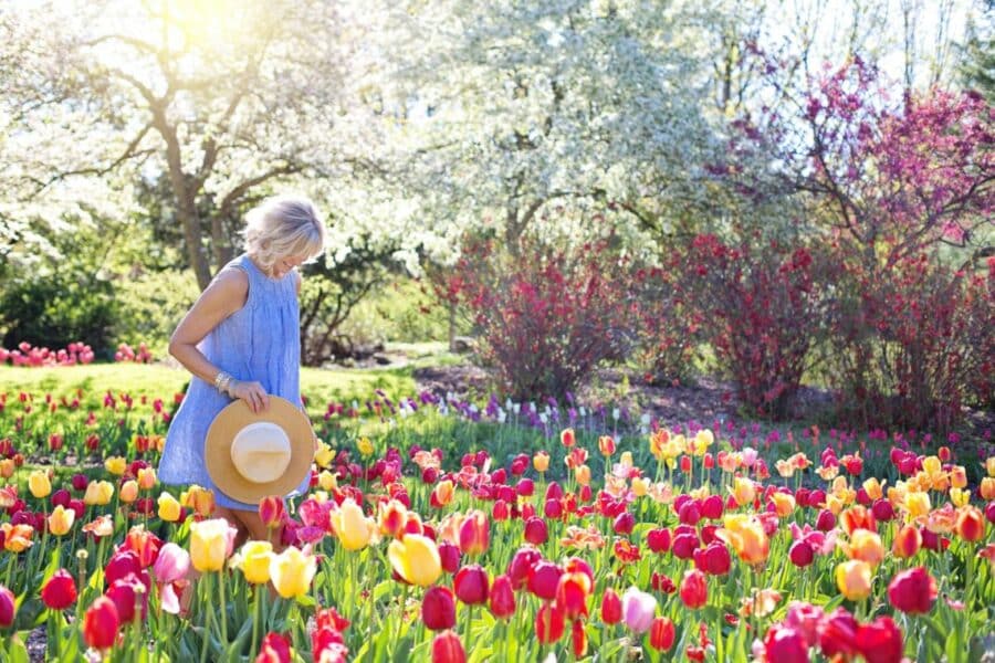 Les plus beaux parcs et jardins à visiter en France