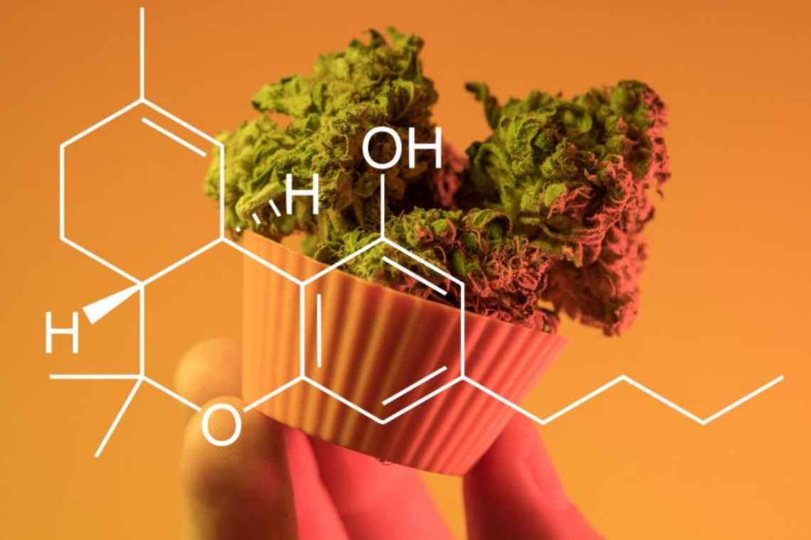 Qu'est-ce que le cannabidiol ?