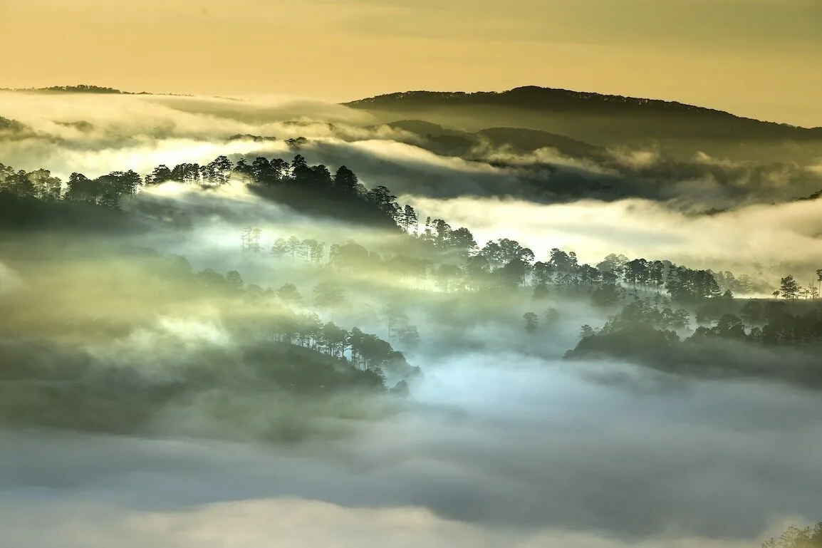 Shandrani Easy Pouss, une marque engagée contre la déforestation dans le monde