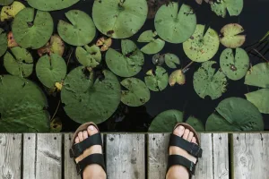 La tendance des « grandpa sandals » : top ou flop ?