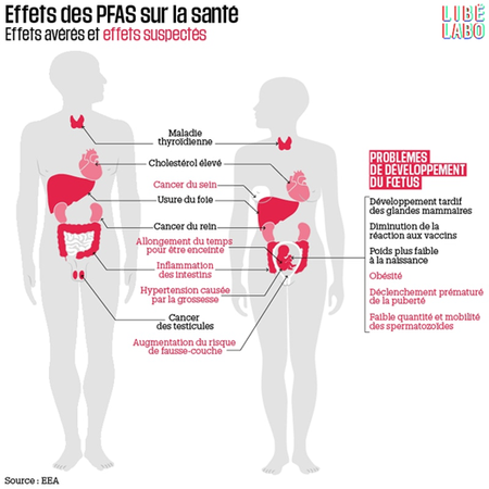 Substances toxiques dans les produits cosmétiques