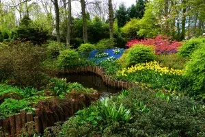 décoration du jardin luxuriant