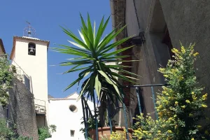 culture en pot