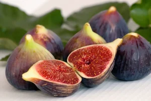 Figues fraiches à déguster