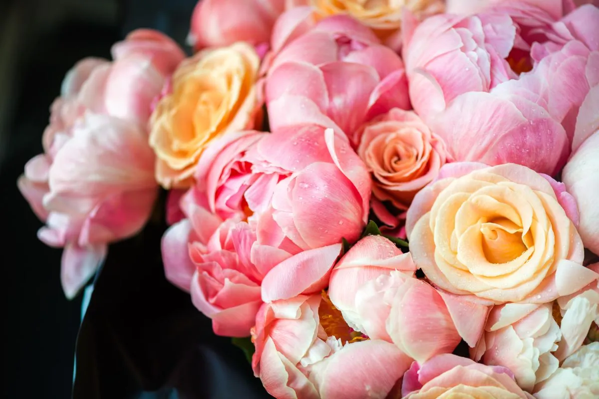 bouquets de pivoines