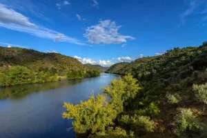 écologistes biodiversité politique