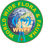 Logo-WWFF-9xa1_2a-150x150