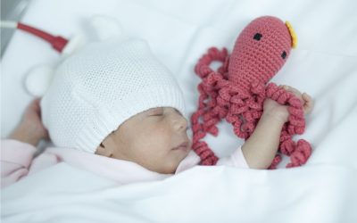 Los  “pulpitos solidarios” llegan a los niños del Hospital de Torrevieja