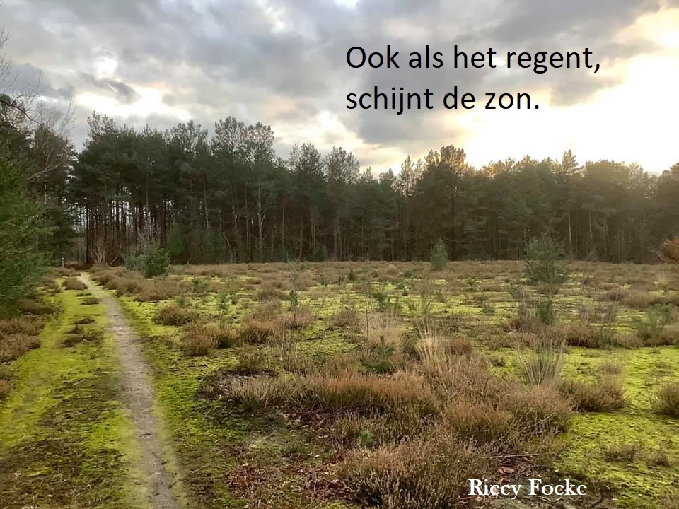 zonblijftschijnen