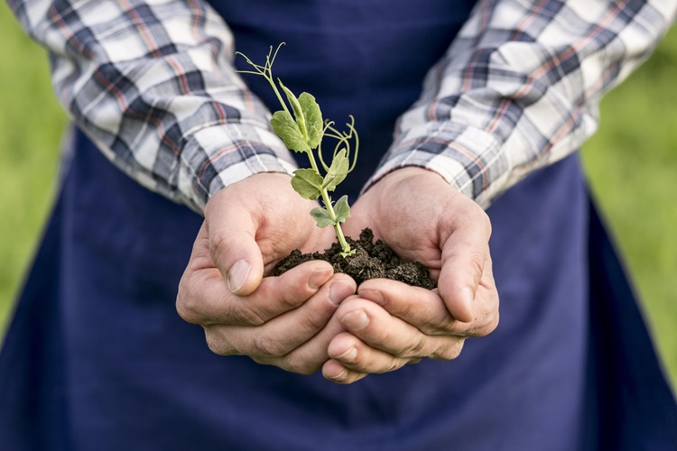 agroecologie