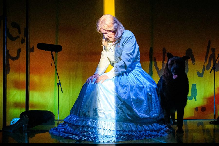 Theater – De vrouw die de honden te eten gaf – Het monster in Michelle