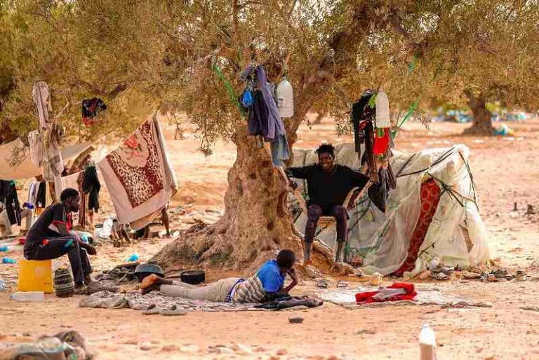 In de olijfgaarden bij het stadje El Amra bouwen migranten hun kampen op. De ­bomen fungeren ­onder meer als ­parasol, waslijn, voorraadkast en ­ophangsysteem. Beeld Ilyes Gaidi