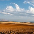 Nabij Fuente de Piedra