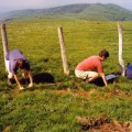 17-cantal-15